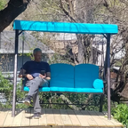 Brentley Porch Swing with Canopy