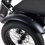 🏆Best Value – Electric Bike[750W]