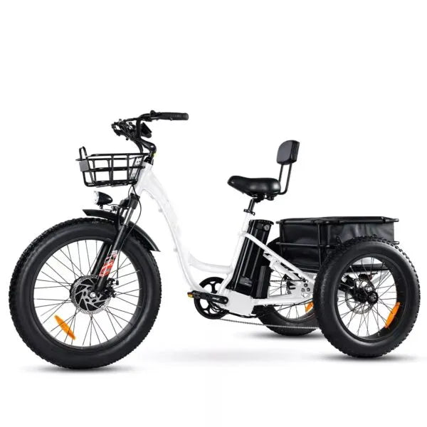 🏆Best Value – Electric Bike[750W]