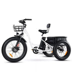 🏆Best Value – Electric Bike[750W]