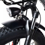 🏆Best Value – Electric Bike[750W]
