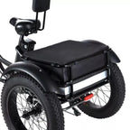 🏆Best Value – Electric Bike[750W]