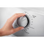 Top Load Electric Dryer with AutoDry System - Large Capacity Clothes Dryer with Wrinkle Shield & Hamper Door